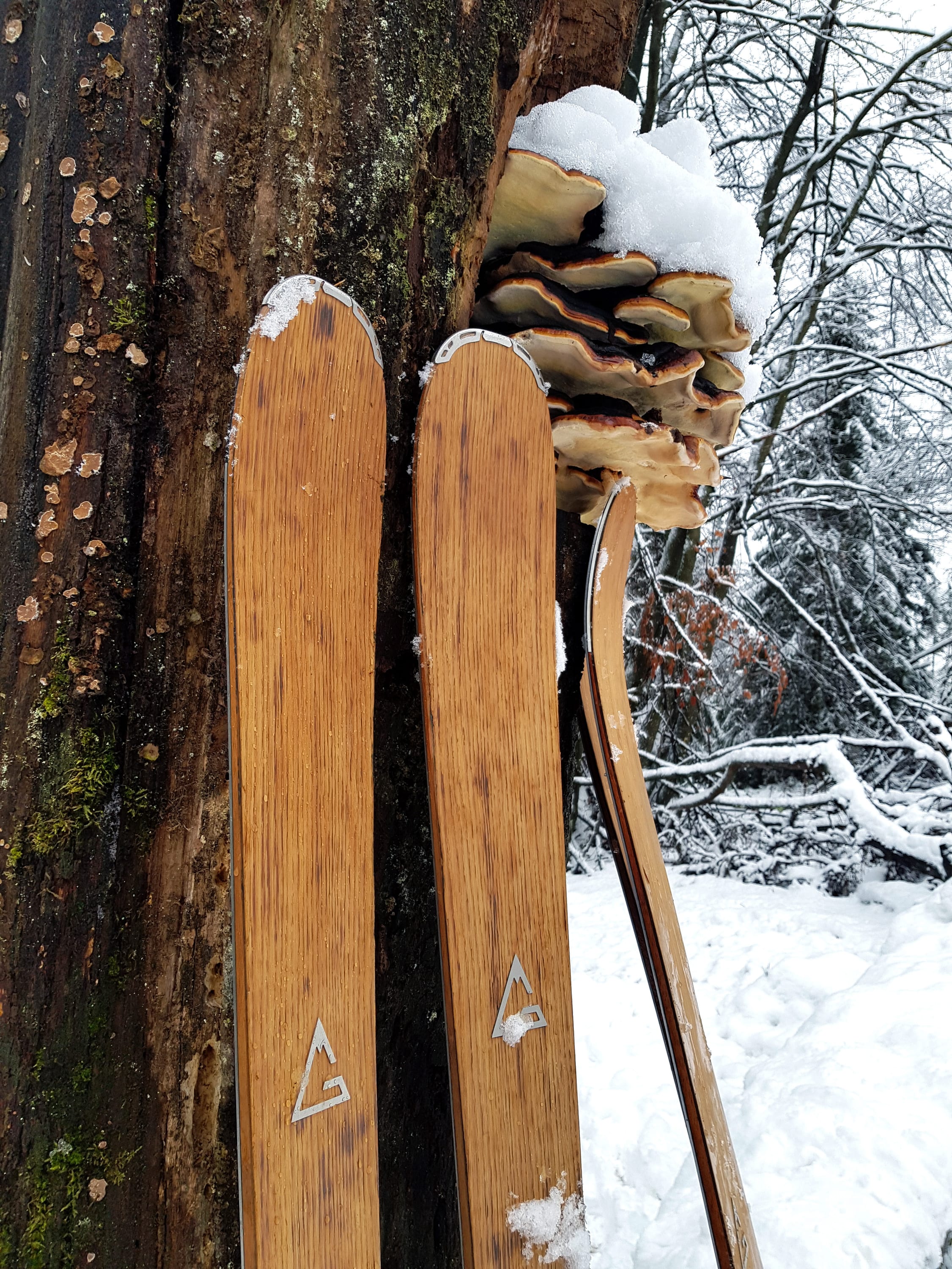 Sella 80 - Gallery 17